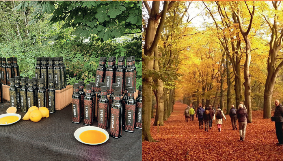 banner roots market bosfair 2025.png